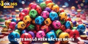 Bao Lô Miền Bắc – Bí Quyết Chinh Phục Thế Giới Lô Đề